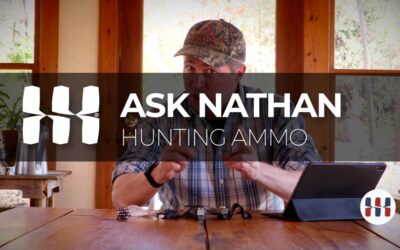 The best slingshot ammo for hunting.