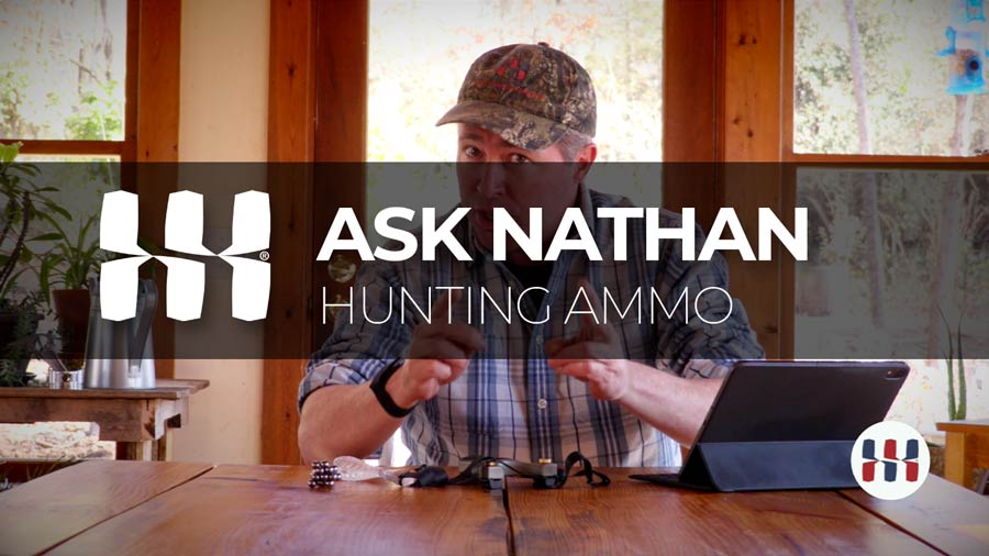 The best slingshot ammo for hunting.